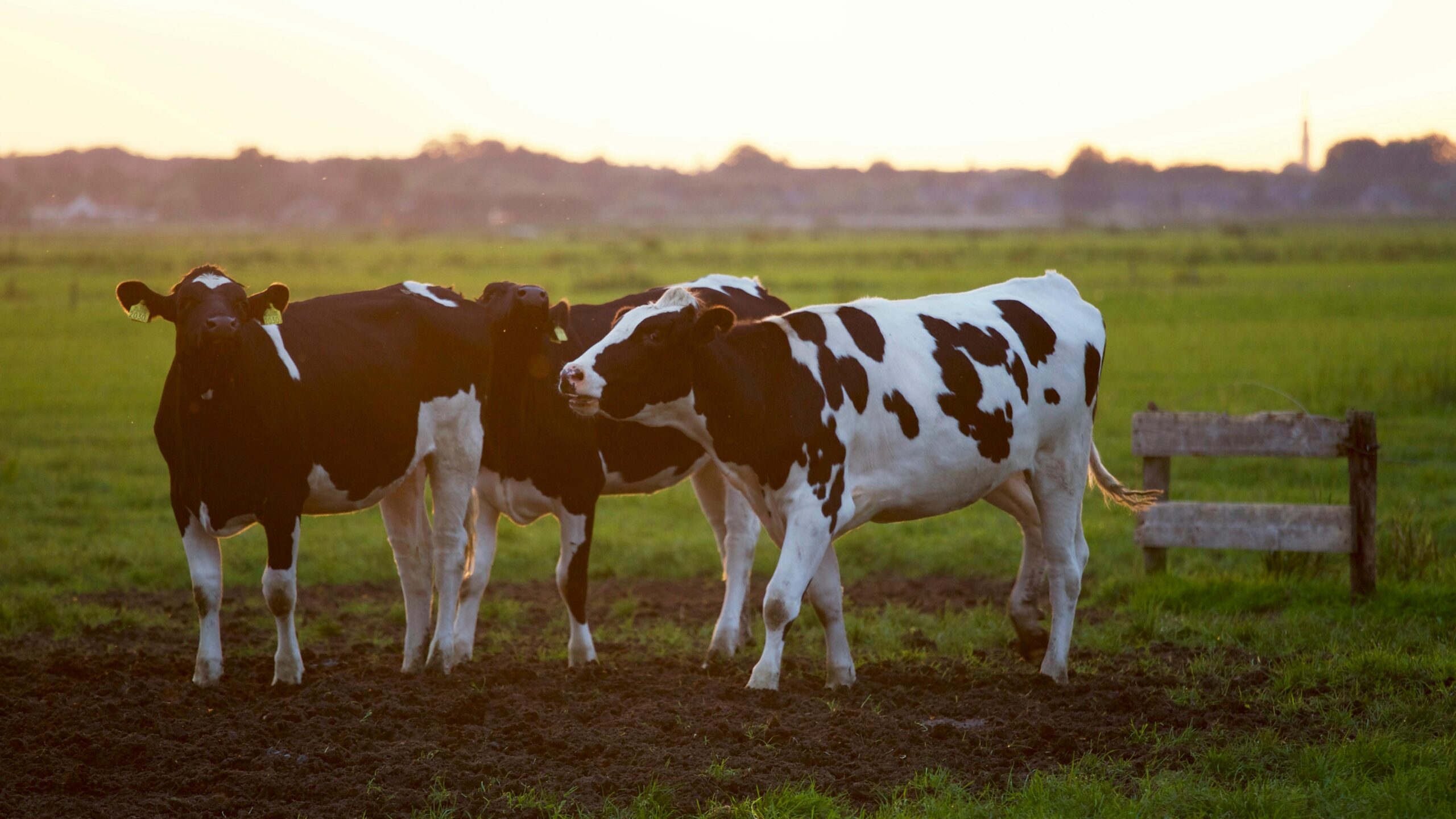 Burgermotie: Sta jij op voor onze boeren?